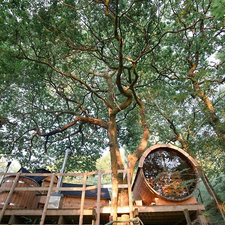 Chestnut Tree House With Hot Tub & Sauna Бармут Экстерьер фото